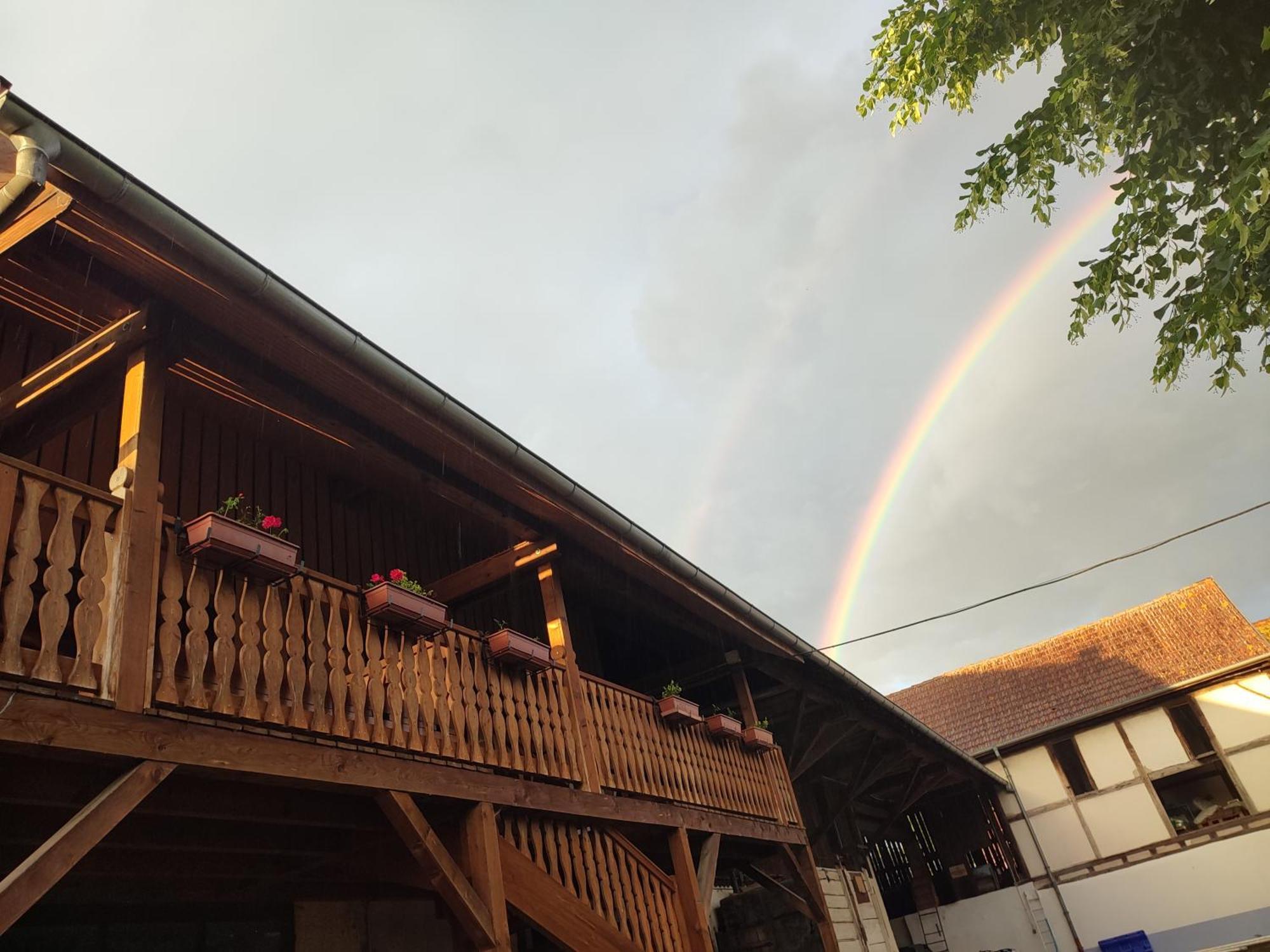 Chez Marguerite Gites A La Ferme Horbourg-Wihr Dış mekan fotoğraf