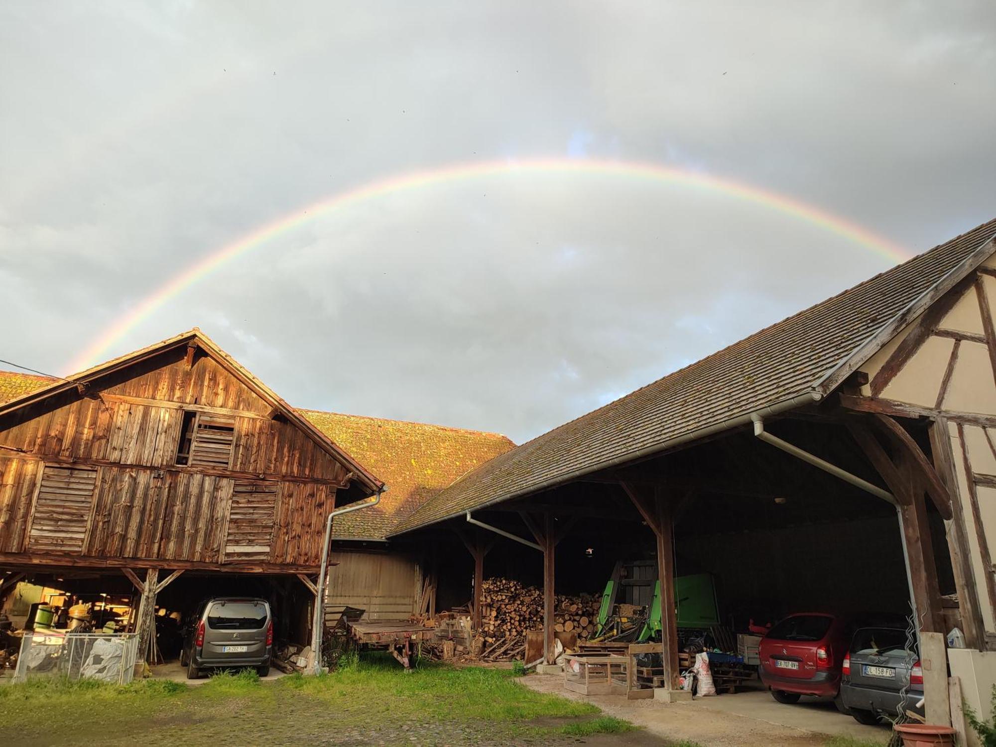 Chez Marguerite Gites A La Ferme Horbourg-Wihr Dış mekan fotoğraf